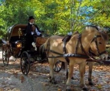 Location de calèche, cheval, mariage